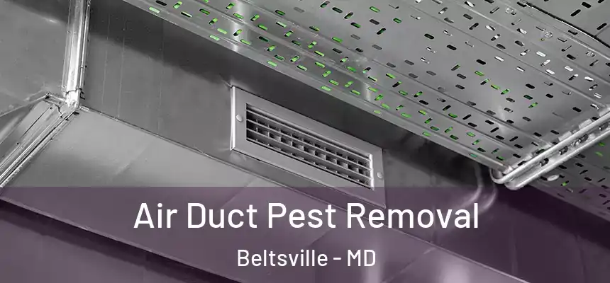  Air Duct Pest Removal Beltsville - MD