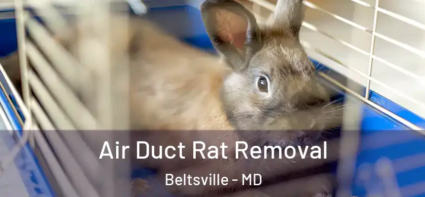  Air Duct Rat Removal Beltsville - MD