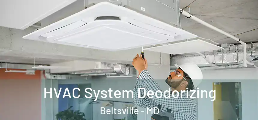  HVAC System Deodorizing Beltsville - MD