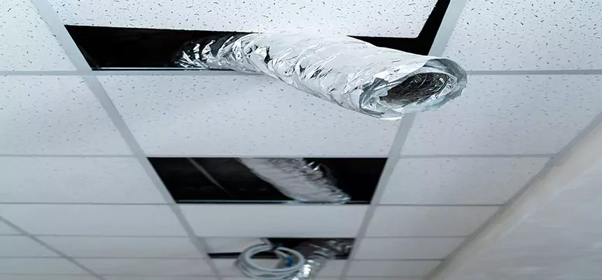 Affordable HVAC Sanitizing After Pest Removal in Beltsville