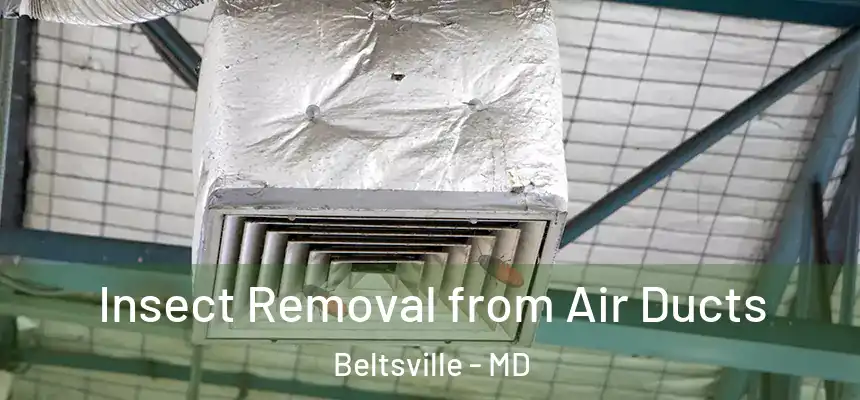  Insect Removal from Air Ducts Beltsville - MD