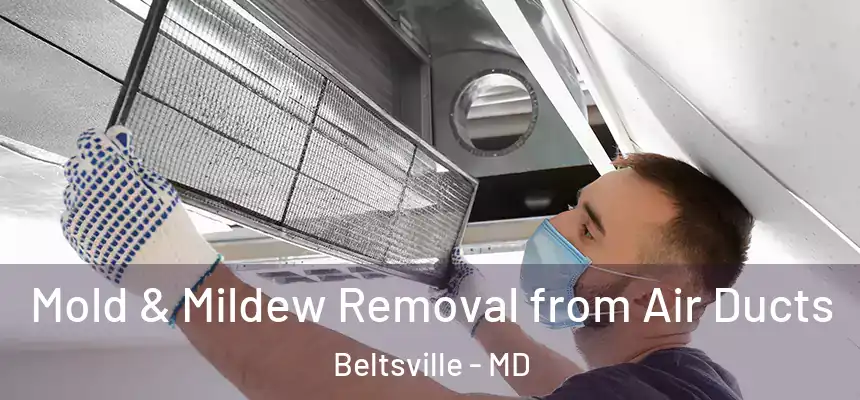  Mold & Mildew Removal from Air Ducts Beltsville - MD