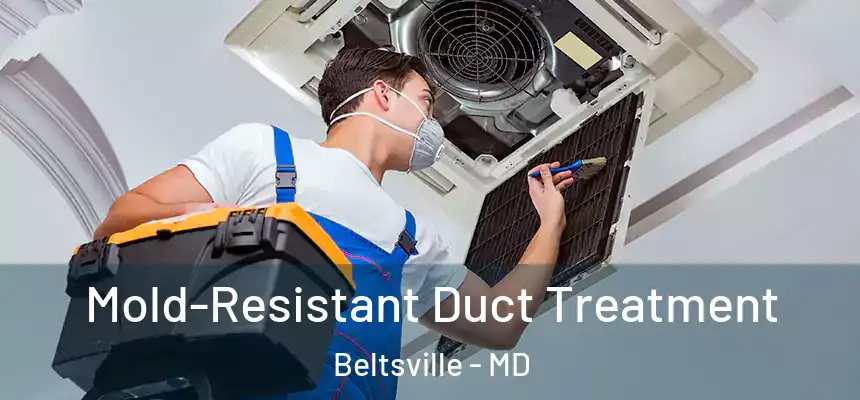  Mold-Resistant Duct Treatment Beltsville - MD