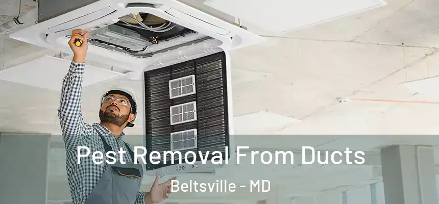  Pest Removal From Ducts Beltsville - MD