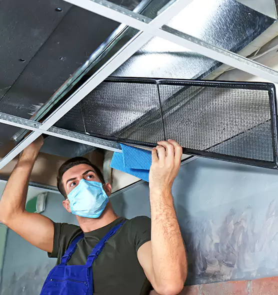 Professional Air Duct Pollen Cleaning in Beltsville, MD