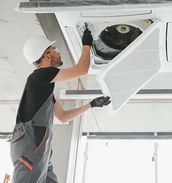 About Air Duct Rodent Removal in Beltsville, MD